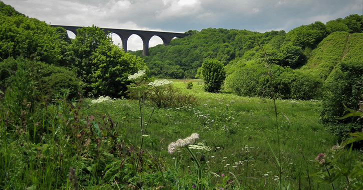 View of Castle Eden Dene Viaduct and Nature Reserve